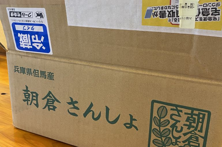 兵庫県　但馬産　朝倉山椒